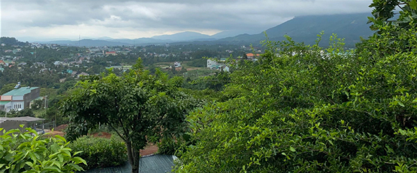 ‘Đặc sản’ khí hậu vùng cao Tây Nguyên