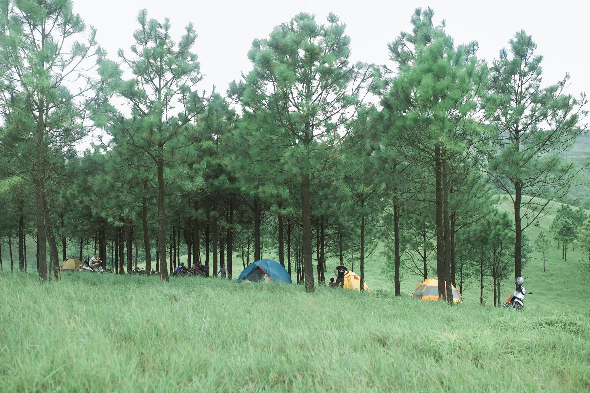 5 điểm cắm trại, dã ngoại dọc Quảng Ninh đẹp mê ly lại không tốn phí