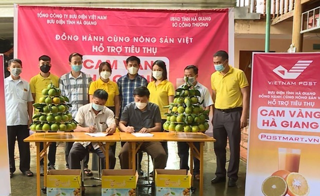 Nỗ lực tiêu thụ nông sản Hà Giang qua sàn thương mại điện tử