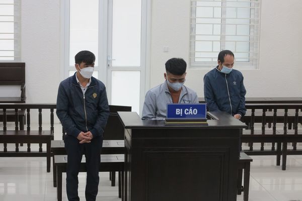 Gấu 