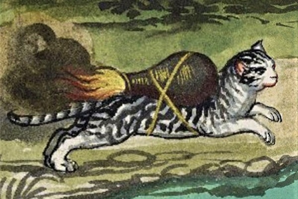 Bí ẩn những con mèo 'tên lửa' thời Trung Cổ