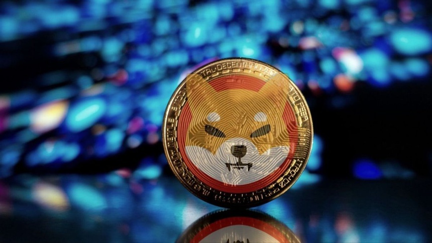 Hồ sơ Shiba Inu, tiền mã hóa vừa vượt mặt Dogecoin