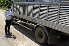 Thái Bình: Kiểm soát chặt việc vận chuyển gia cầm vào tỉnh