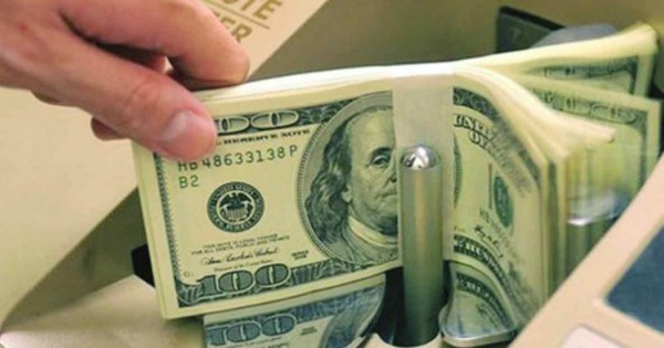 Vietnamese overseas investment soars by 35.1% over 10 months