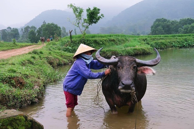 Vĩnh Phúc tập trung đẩy mạnh thực hiện công tác giảm nghèo