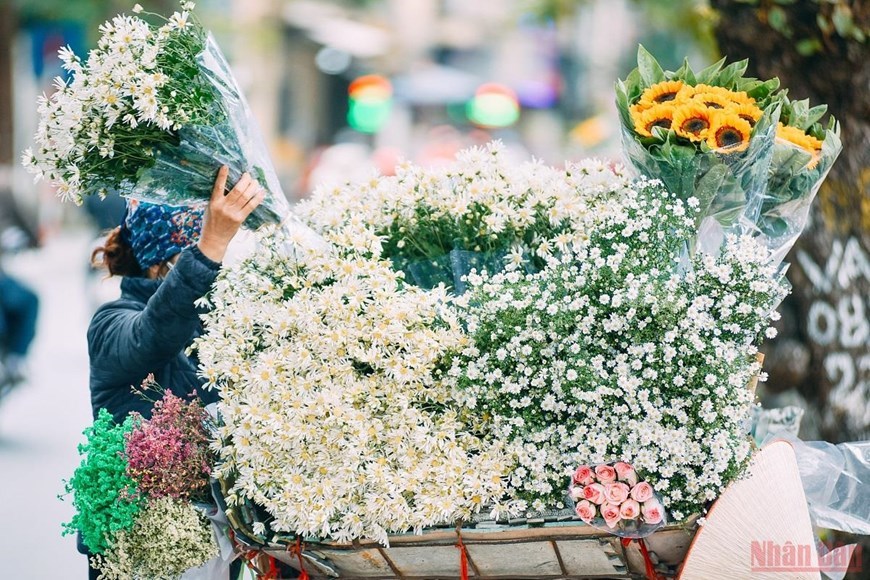Hanoi streets,vendors,flowers