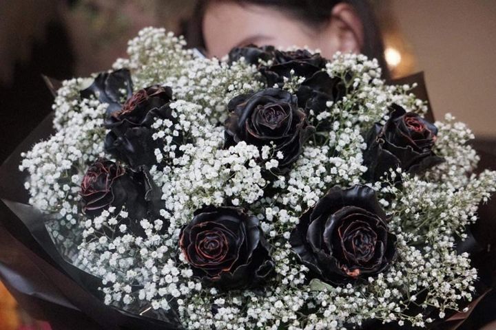 Hoa hồng đen giá 500.000 đồng/bông được đại gia Hà thành săn lùng