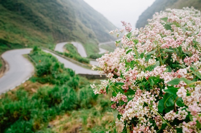 Hà Giang phân vùng hình thành sản phẩm du lịch chuyên sâu