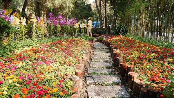 HCM City Spring Flower Festival 2022 to take place in 11 days