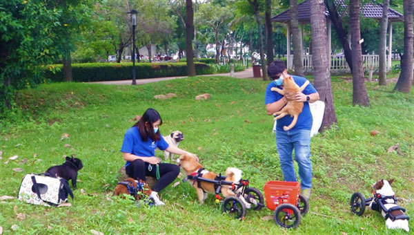 Pet-loving expat in HCM City makes wheelchairs for handicapped animals
