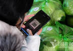 "Ma trận" app truy xuất nguồn gốc bủa vây nông sản Việt