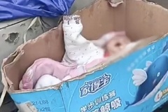 Bé 4 tháng tuổi bị nuôi trên đống rác, giữa bầy heo ở Trung Quốc