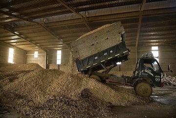 Turning agricultural waste into cash