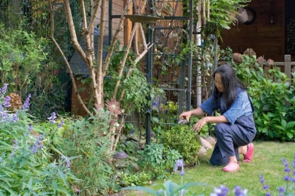 Nghỉ hưu sớm, người phụ nữ về ngoại ô sống an yên bên khu vườn trăm hoa