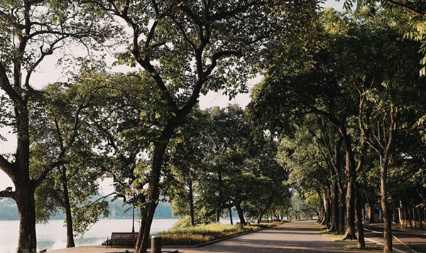 Photo contest launched to capture green Hanoi