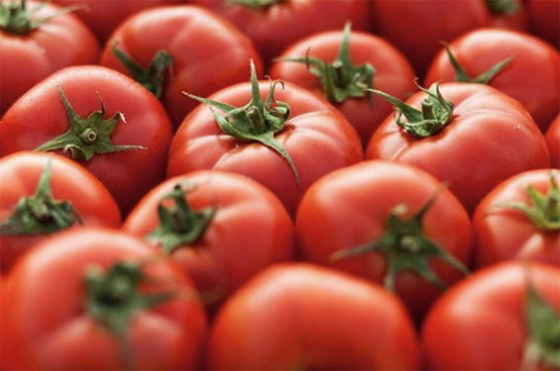 Loại cà chua mới 500 ngàn/kg, ăn vào giảm huyết áp
