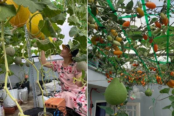 Vườn sân thượng 12m2 lúc lỉu quả ngọt của bà mẹ 4 con ở TP.HCM