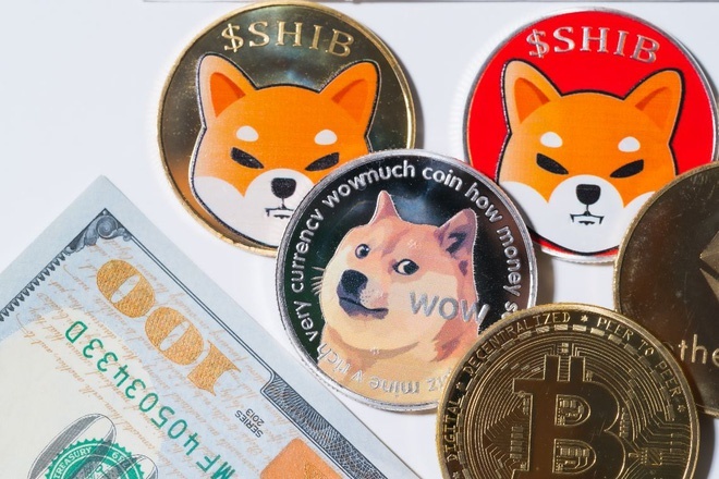 Nhiều nhà đầu tư Việt bán tháo coin Shiba Inu