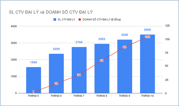 Top 6 mô hình kinh doanh thương mại điện tử phổ biến tại Việt Nam 2021