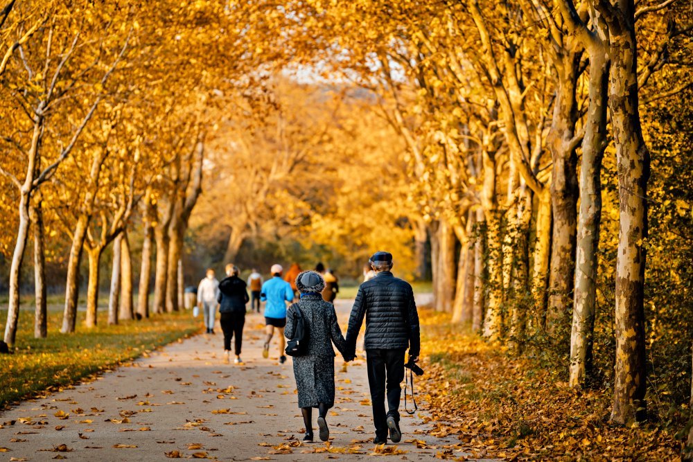 Thu vàng Paris mùa thay lá, cảnh bình yên 'như chưa từng có Cô Vy'