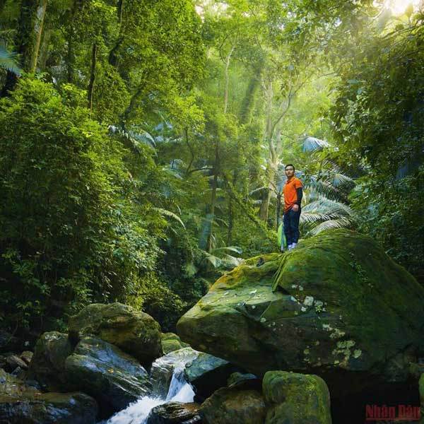 The magnificent beauty of Toc Tien Waterfall, Dong Chau Forest in Quang Binh