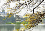 Hà Nội trong tôi