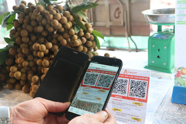 Digital transformation to create new growth engine for Vietnam's agriculture