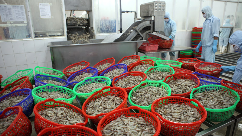 Decrease in in seafood exports expected as a result of new Chinese policy