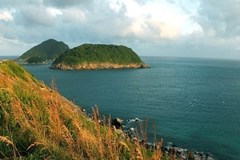 Ba Ria - Vung Tau promotes eco-tourism at national park