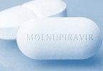 HCMC proposes to receive 100,000 more Molnupiravir doses