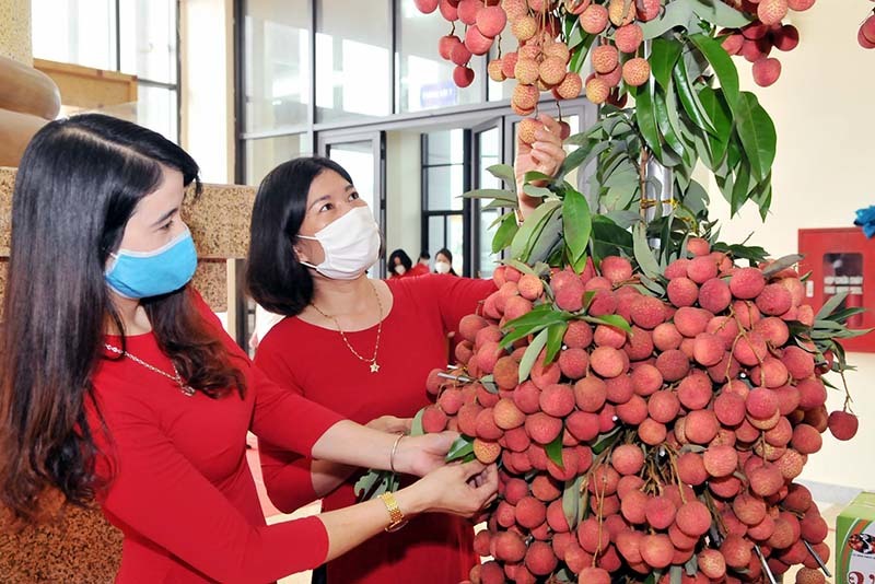 Xây dựng thương hiệu sản phẩm OCOP đạt chuẩn quốc tế, nông sản ra chợ toàn cầu bán giá cao