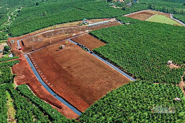 Nhan nhản đất phân lô gắn mác dự án bất động sản ở Lâm Đồng