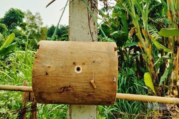 Tuyệt chiêu dụ đàn ong rừng về nhà của thợ săn Hà Tĩnh