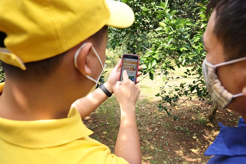 Thương mại điện tử phục hồi kinh tế nông nghiệp trong dịch