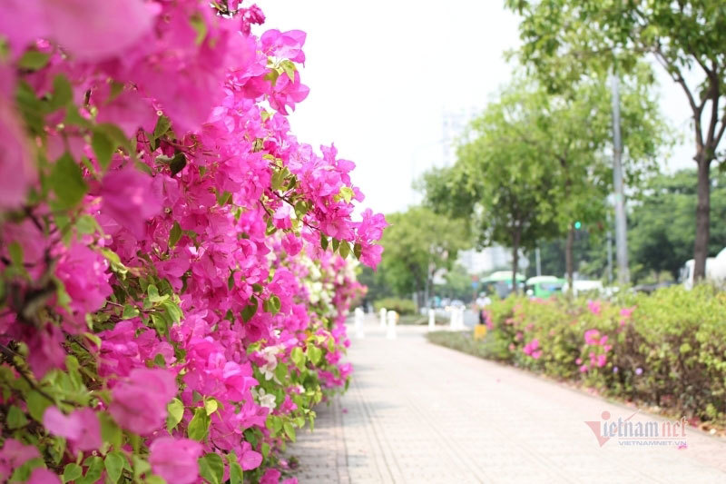 Làm dâu xa, chồng không thương, tiền không có, bà mẹ trẻ hoàn toàn bế tắc