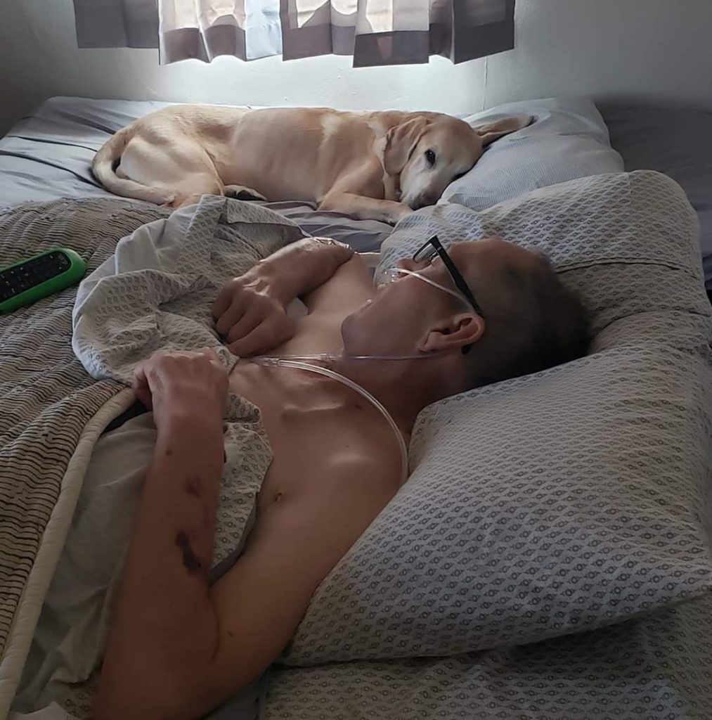 Chú chó theo chân chủ suốt 9 năm chữa ung thư, cả hai lìa đời cách nhau vài giờ