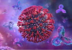 Biến thể mới của virus corona kích hoạt báo động trên toàn cầu