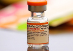 Cần 2 tuần đánh giá hiệu quả của vắc xin với biến thể lạ Omicron