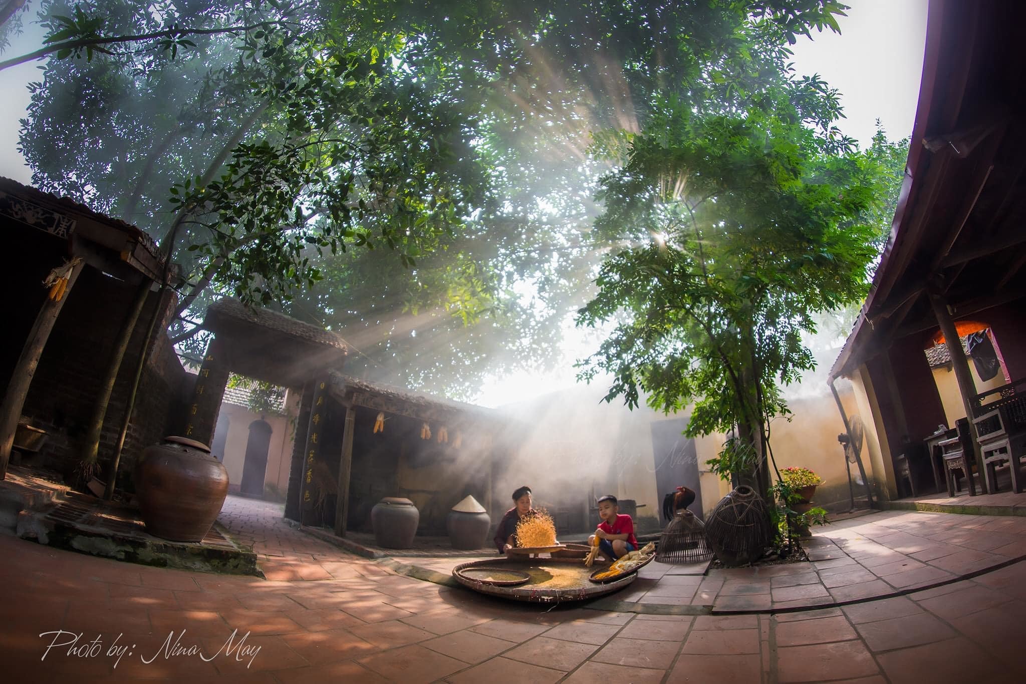 Về làng cổ Đường Lâm, ngắm cảnh yên bình khiến lòng người xao xuyến