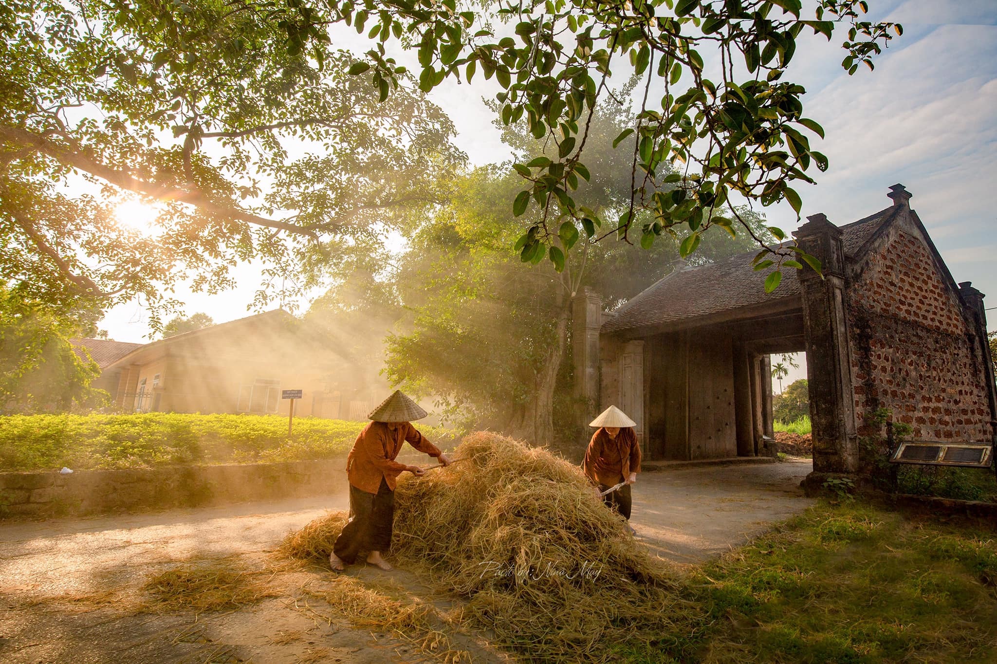 Hình ảnh bình yên nơi làng cổ trăm tuổi Đường Lâm khiến du khách nóng lòng  tới chiêm ngưỡng