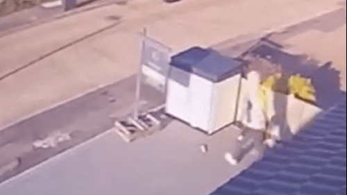 Đột nhập vào nhà 'cuỗm' chó cưng giữa ban ngày