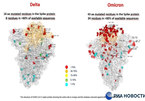 Hình ảnh lột tả số lượng đột biến của biến thể Omicron so với Delta