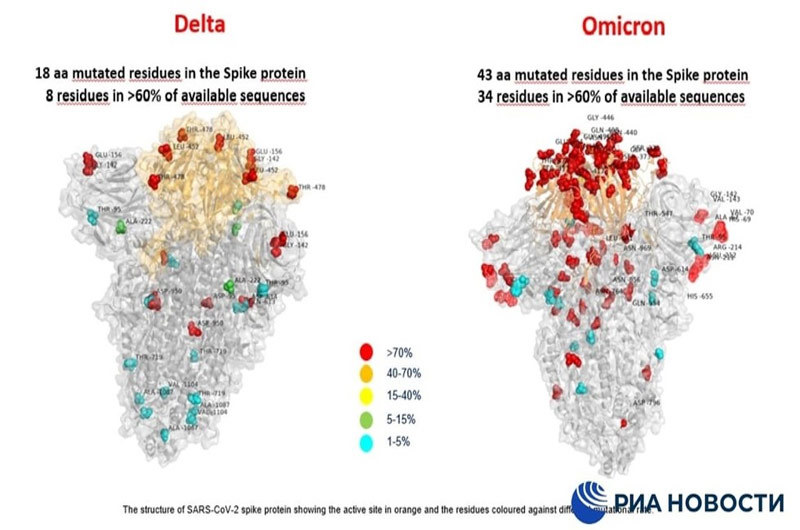 Hình ảnh lột tả số lượng đột biến của biến thể Omicron so với Delta