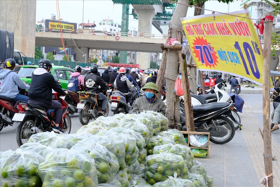 Mít Thái giảm giá chưa từng có, chỉ 2.000 đồng/kg