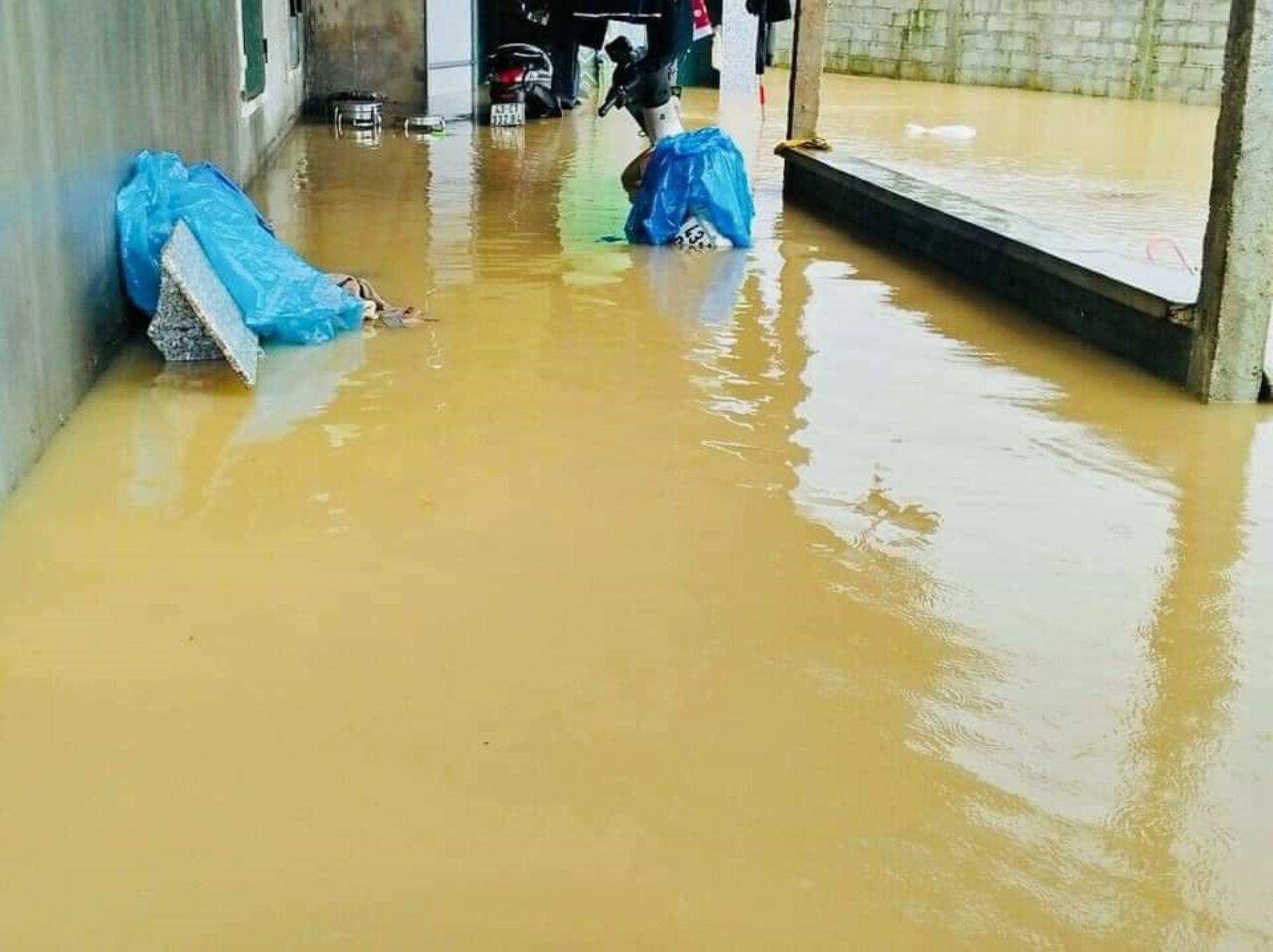 Mưa trắng trời, hàng trăm nhà dân ở Bình Định chìm sâu trong biển nước