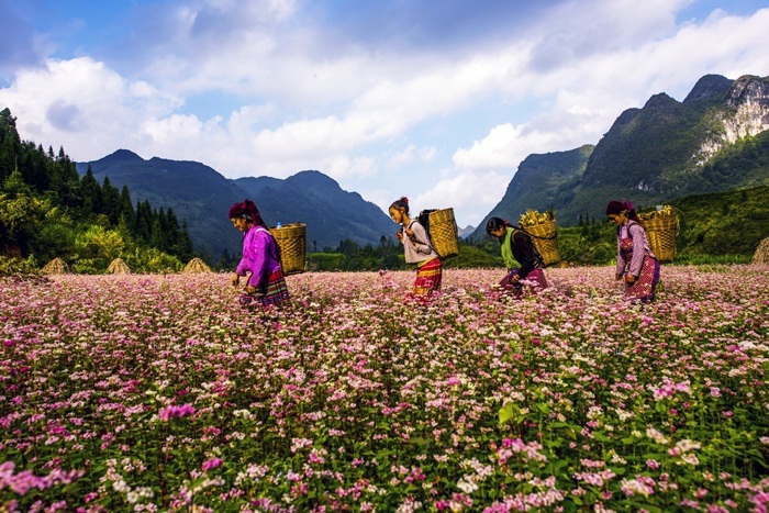 Hà Giang: Xây dựng các chương trình du lịch hấp dẫn để giữ chân du khách lâu hơn