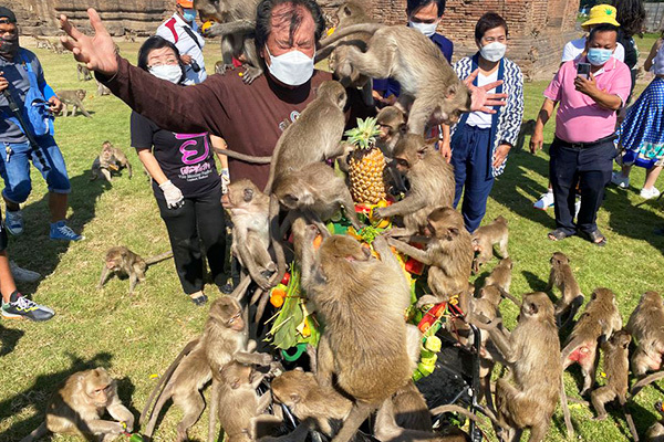 Khỉ 'bâu' kín du khách, giành ăn sầu riêng đắt tiền trong lễ hội kỳ lạ