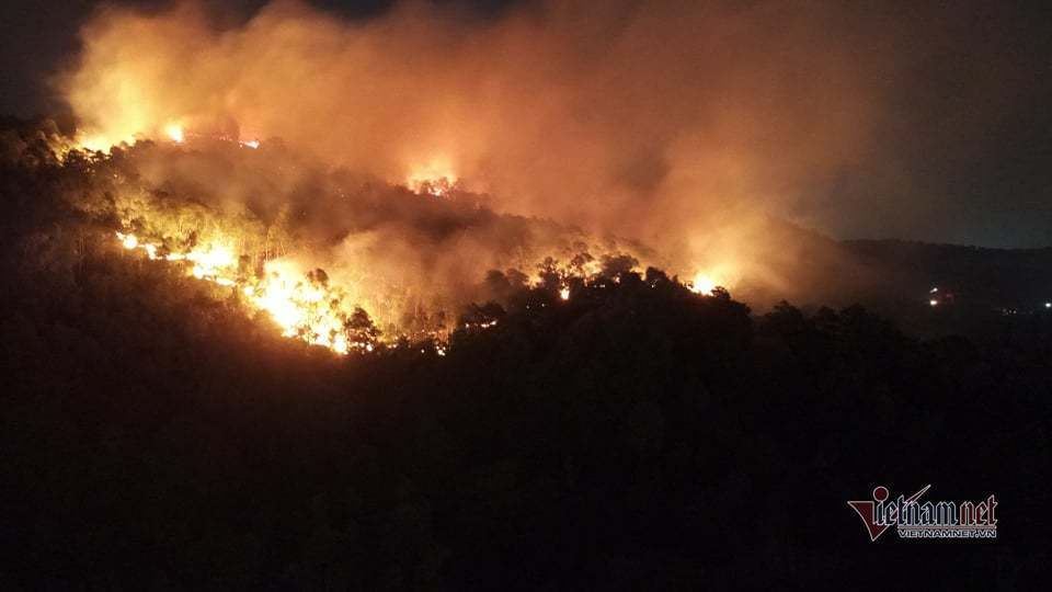 Cháy lớn đồi bạch đàn ở Hạ Long