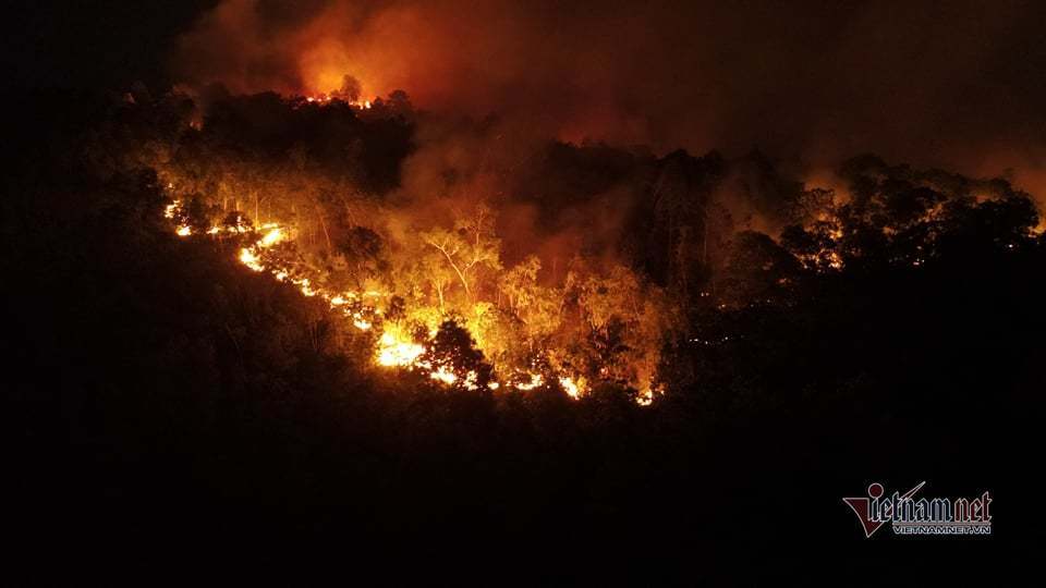 Cháy lớn đồi bạch đàn ở Hạ Long