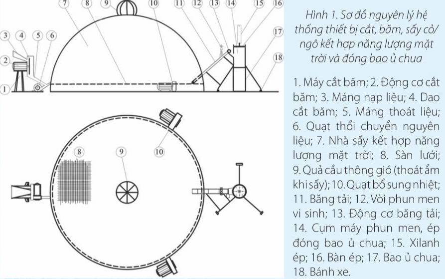 Nghiên cứu của nhóm học sinh Hà Nội được đánh giá 'chưa hề có ở Việt Nam'